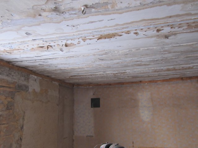 img_0640.jpg